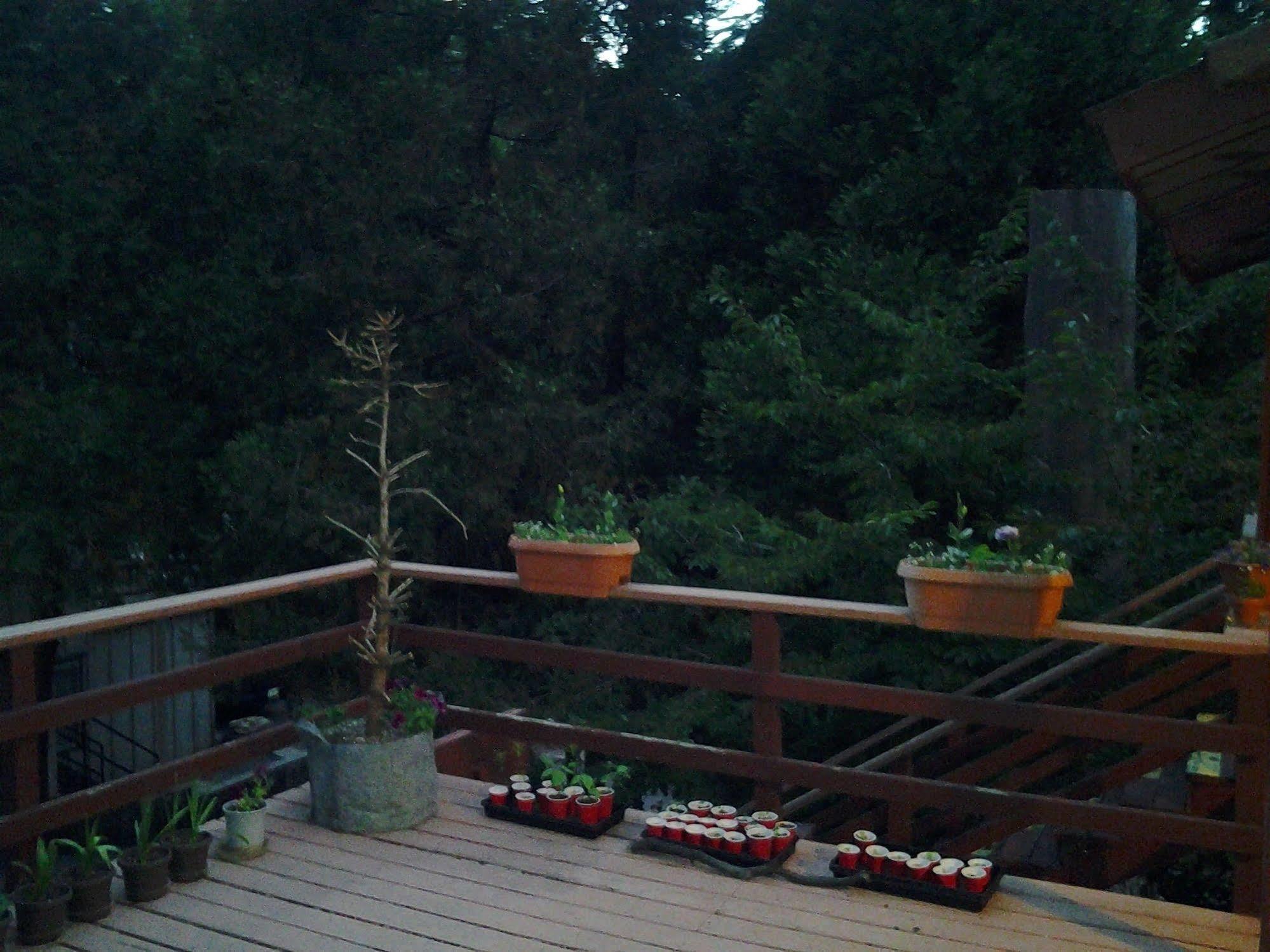 Arrowhead Mountain Inn Lake Arrowhead Luaran gambar